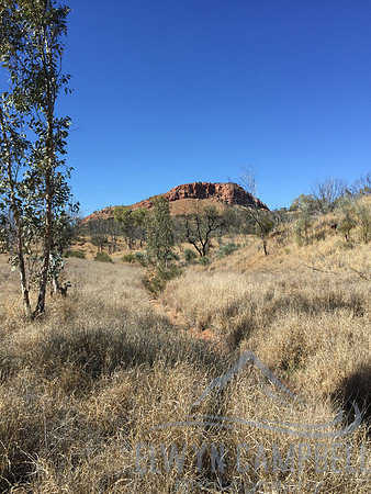 Arenge Bluff