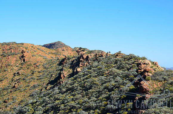 Climbing Brinkley Bluff