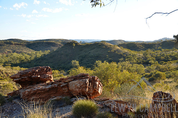 Near Ormiston Creek