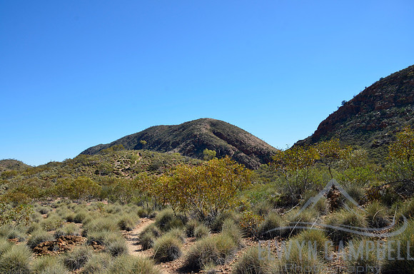 Towards Ellery Creek