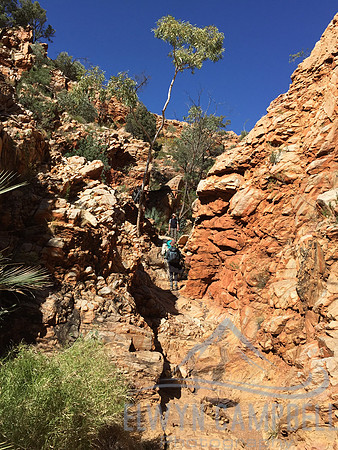 Scrambling