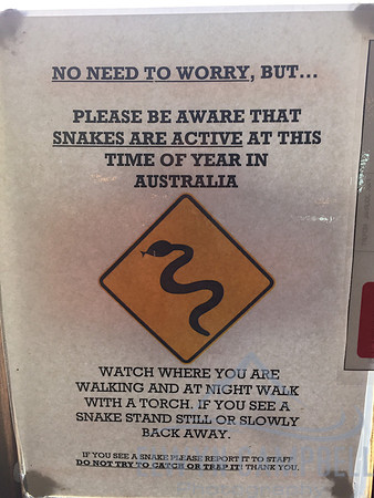 Snake alert