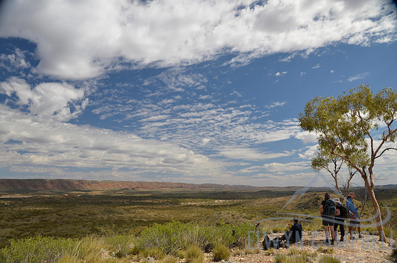 Looking towards the Finke River