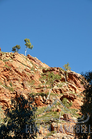 Hugh Gorge Pocket Valley