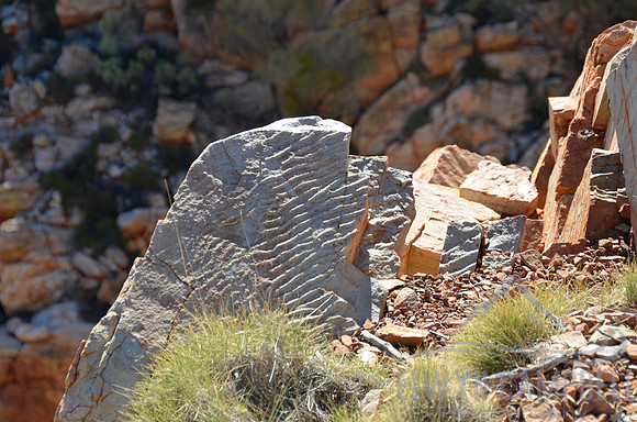 Fossilised sea bed
