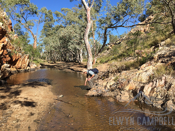 Waterhole near Mulga Camp