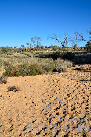 Dry creekbed