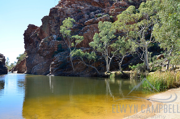Ellery Creek