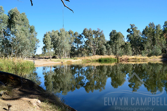 Ellery Creek
