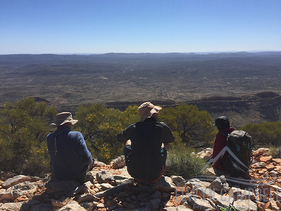Brinkley Bluff