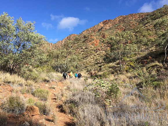 Towards Tangentyere Junction