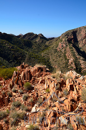 Razor sharp rocks near Brinkley Bluff