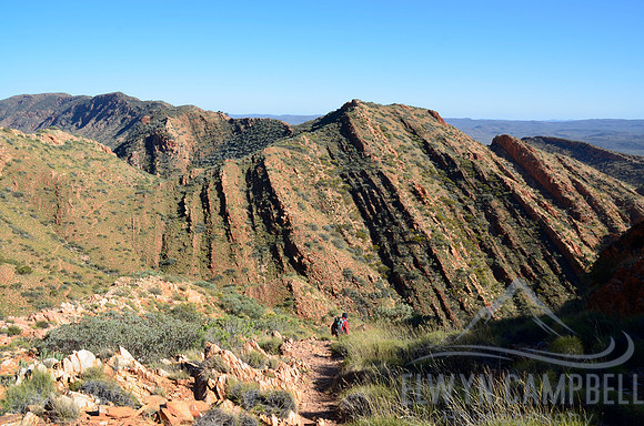 Climbing Brinkley Bluff