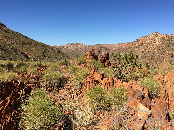 Back towards Razorback Ridge