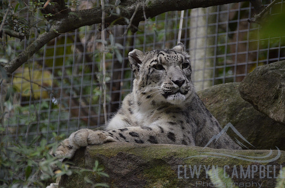 Taronga Zoo