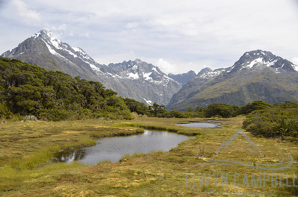 Routeburn Track
