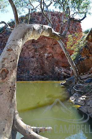 Ellery Creek