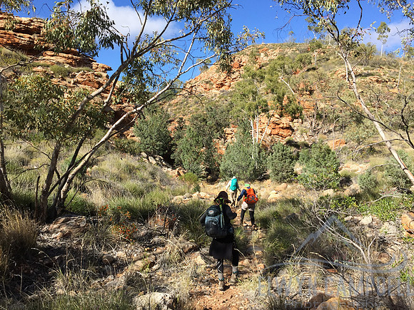Millers Flat
