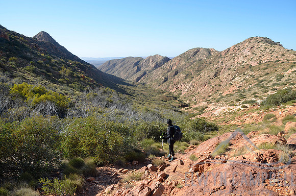 Climbing out of Standley Chasm to Reveal Saddle