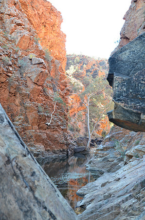 Serpentine Gorge