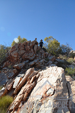 Razorback Ridge