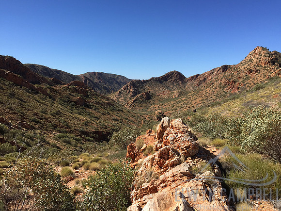 Gastrolobium Saddle, looking back towards Jay Creek