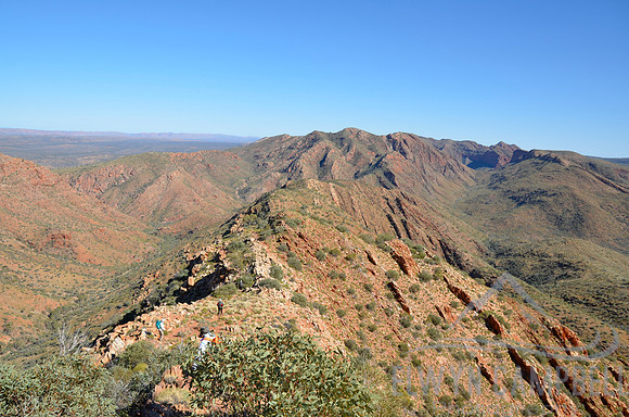 Razorback Ridge