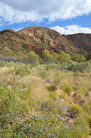 Ormiston Gorge