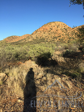 Towards Mount Lloyd