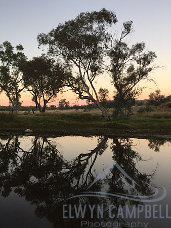 Birthday Waterhole
