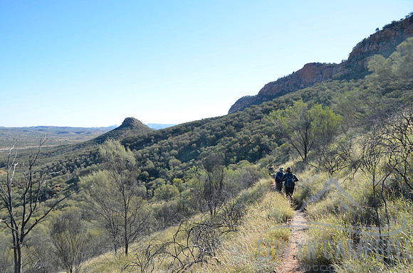 Rungutjirba Ridge, near Simpsons Gap