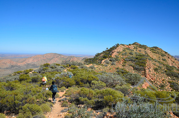Brinkley Bluff