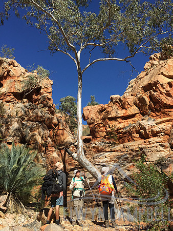 Waterfall gully