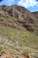 Larapinta Trail