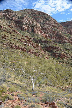 Ormiston Gorge