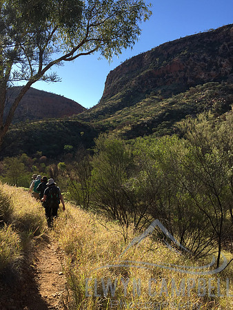 Towards Simpsons Gap