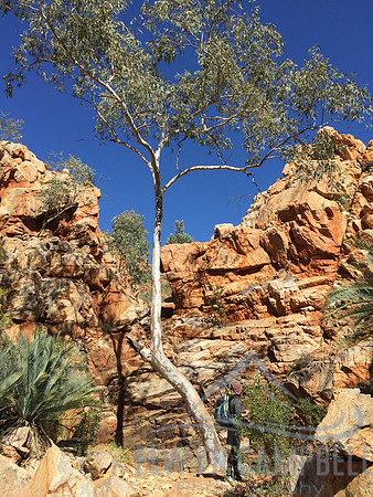 Waterfall Gully