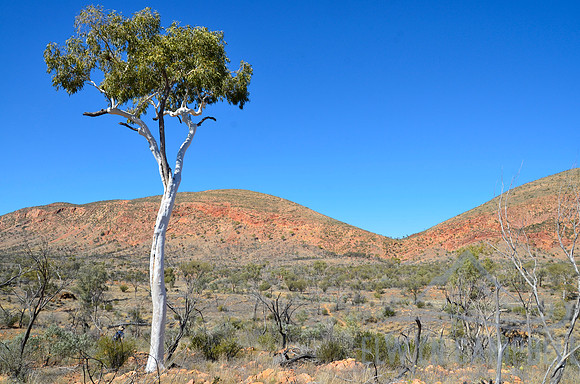 Towards the Heavitree Range