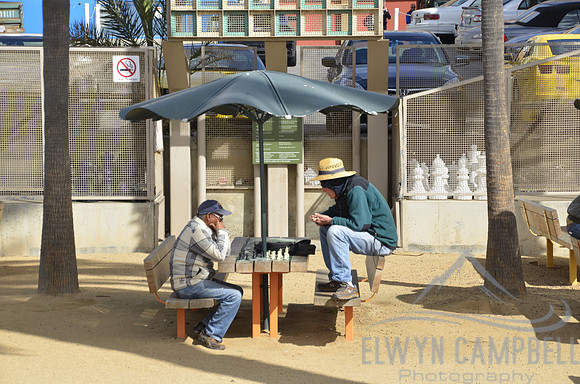 Chess park