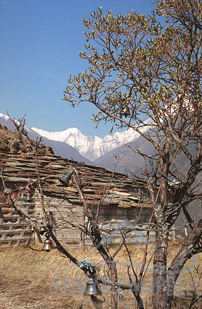 Nanda Devi and Longstaff Col