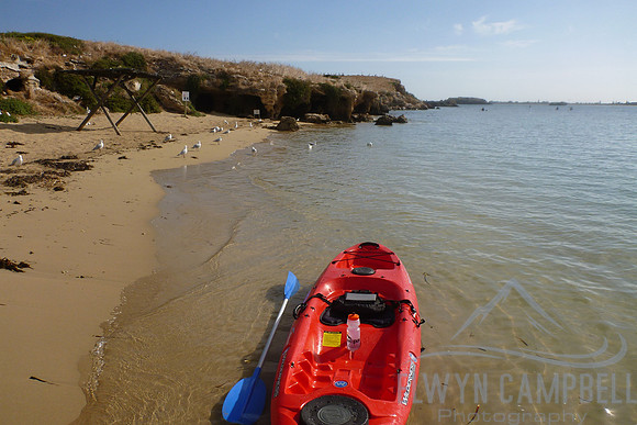Penguin Island beach