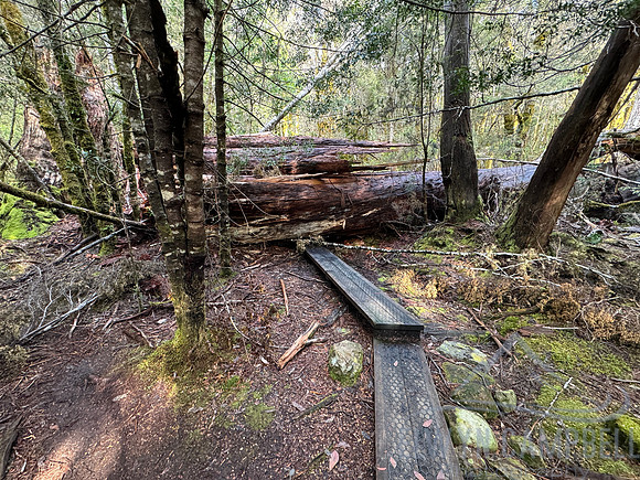 Overland Track