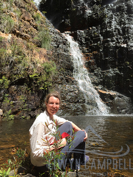 Greaves Creek