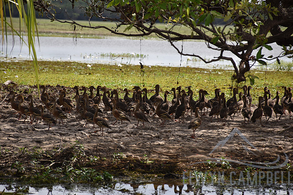 Yellow Water Cruise, Kakadu National Park