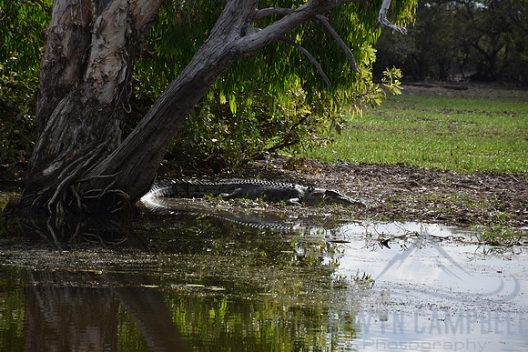 Yellow Water Cruise, Kakadu National Park