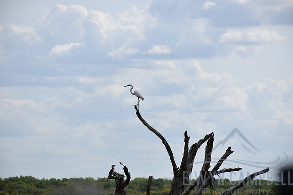 Yellow Water Cruise, Kakadu National Park