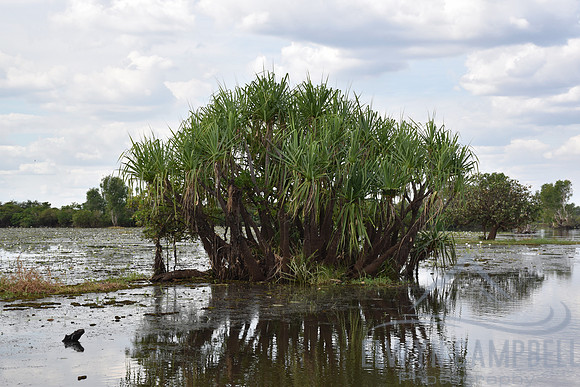 Yellow Water Cruise, Kakadu National Park
