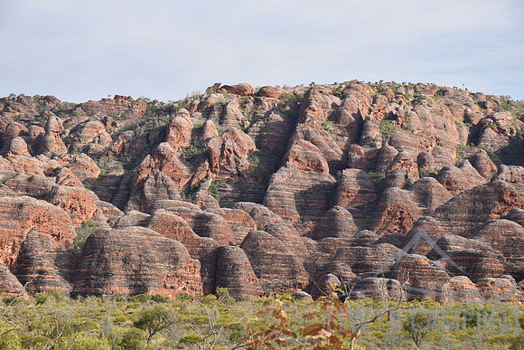 Bungle Bungles