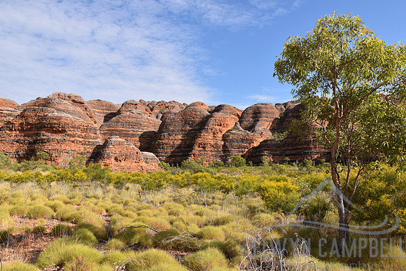 Bungle Bungles