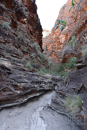 Cathedral Gorge